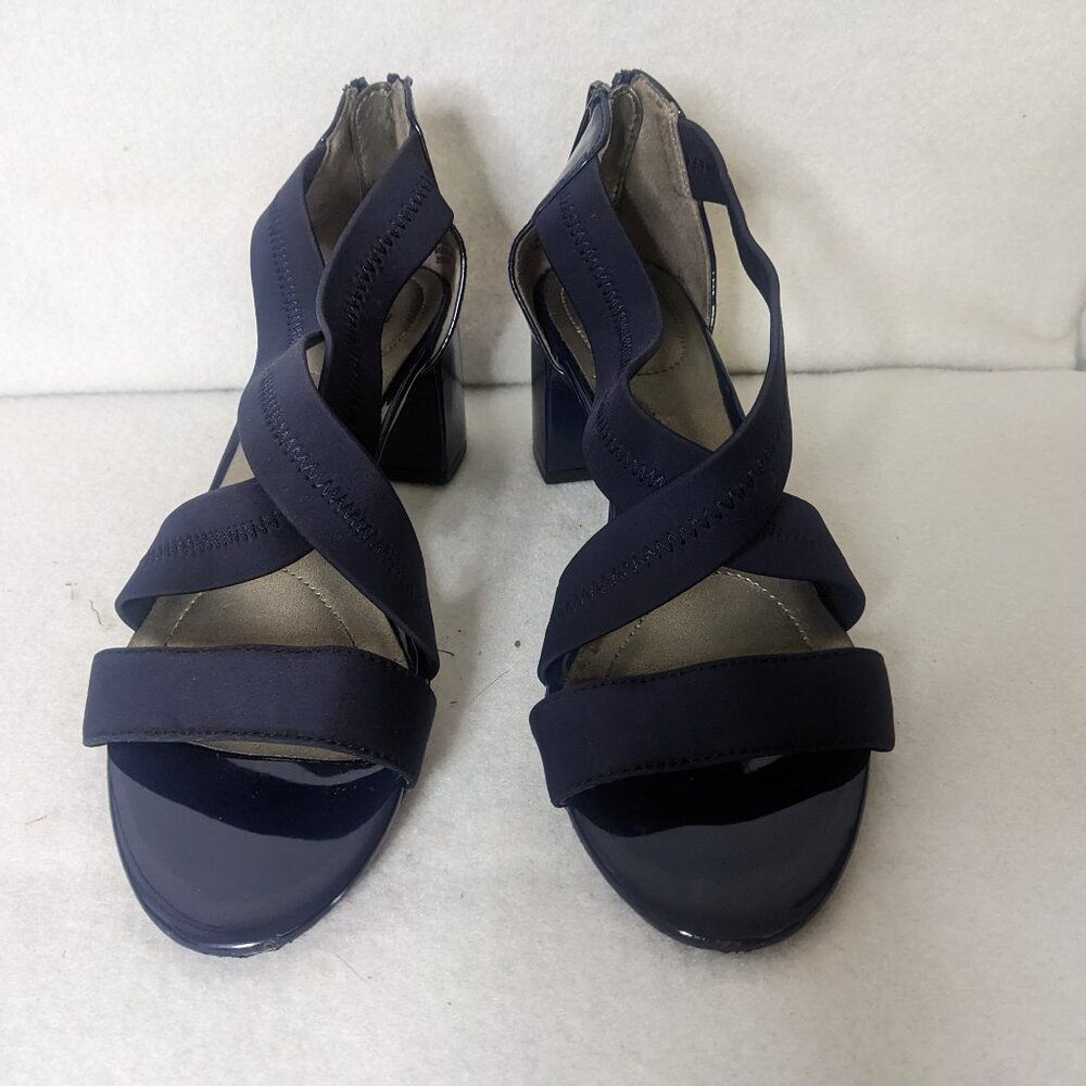 Bandolina Women's Blue Blocked Heeled Shoes